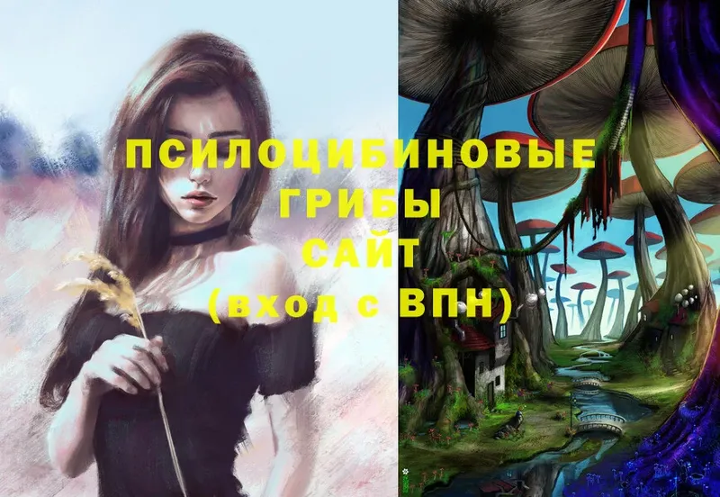 Псилоцибиновые грибы Magic Shrooms  даркнет состав  Котельнич 